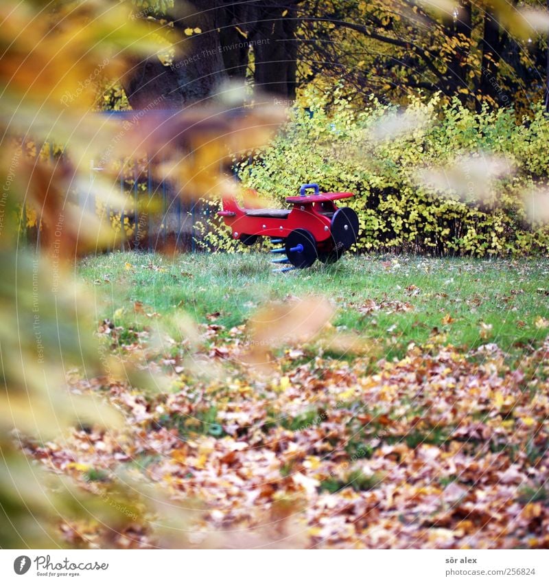 ab in den Urlaub Umwelt Natur Herbst Baum Gras Blatt Herbstlaub Dorf Spielplatz Holz Idylle November Flugzeug Verfall Vergänglichkeit ruhig Einsamkeit Wiese