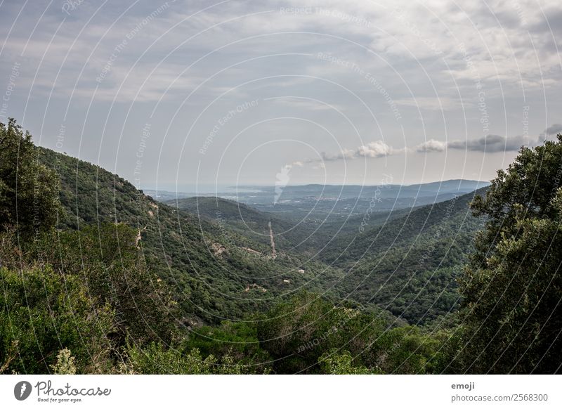 Côte d'Azur Umwelt Natur Landschaft Himmel Sommer Schönes Wetter Wald Hügel Meer natürlich grün Cote d'Azur Farbfoto Außenaufnahme Menschenleer Tag Weitwinkel