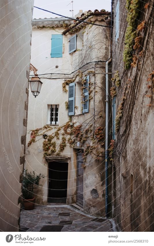 Ramatuelle Stadt Haus Mauer Wand Fassade Fenster Tür alt Armut ramatuelle Cote d'Azur Gasse Farbfoto Außenaufnahme Menschenleer Tag Weitwinkel