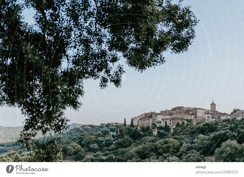 Ramatuelle I Umwelt Natur Pflanze Kleinstadt Stadt Stadtrand Altstadt Haus natürlich grün Ferien & Urlaub & Reisen Tourismus ramatuelle Frankreich Cote d'Azur