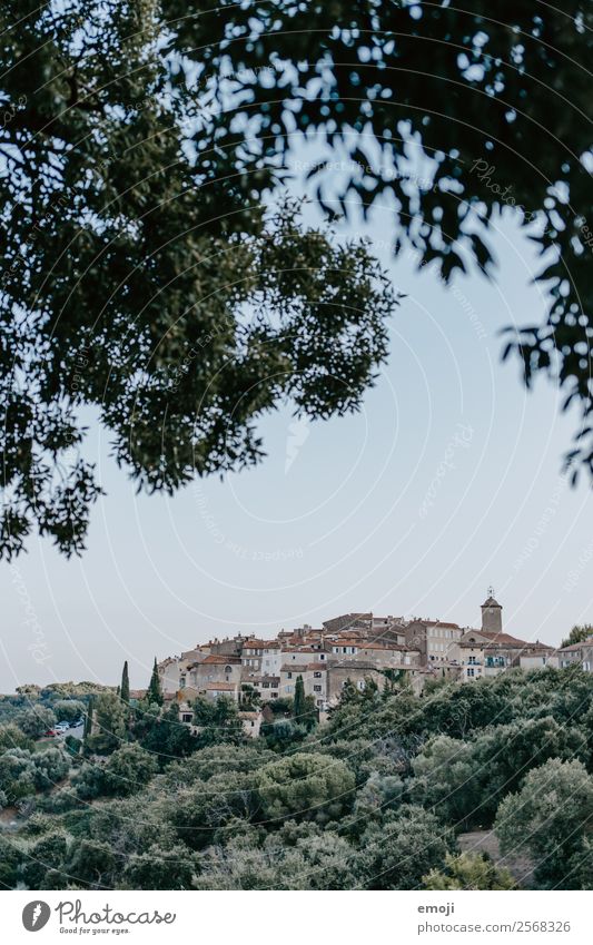 Ramatuelle II Umwelt Natur Pflanze Kleinstadt Stadt Stadtrand Altstadt Haus natürlich grün Ferien & Urlaub & Reisen Tourismus ramatuelle Frankreich Cote d'Azur