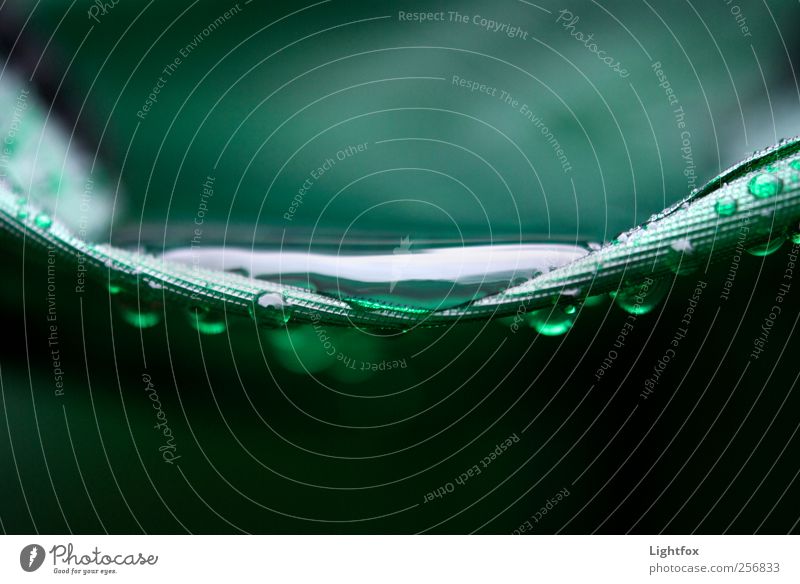 Regenplane Umwelt Natur Erde Wasser Wassertropfen Klima Klimawandel Wetter schlechtes Wetter Verpackung Kunststoffverpackung Tropfen bauen beobachten berühren