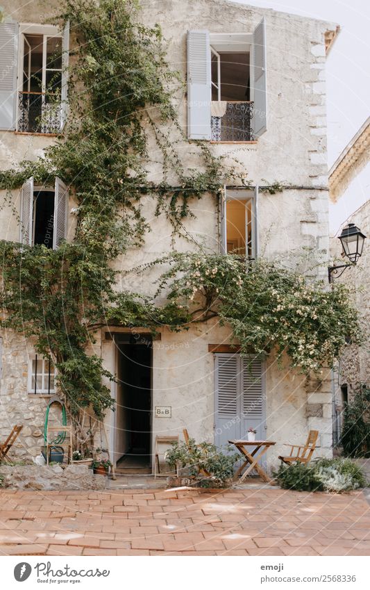 Antibes Haus Traumhaus Efeu Dorf Einfamilienhaus Mauer Wand Fassade Fenster Tür authentisch mediterran Cote d'Azur Sitzgelegenheit Gasse Frankreich Unterkunft