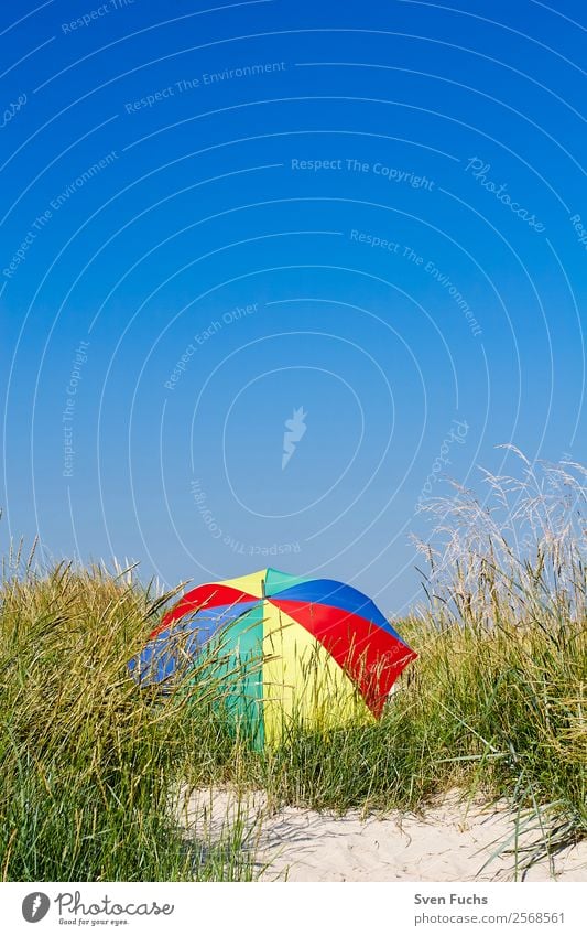 Bunter Sonnenschirm in einer Düne schön Erholung ruhig Ferien & Urlaub & Reisen Tourismus Sommer Strand Meer Insel Natur Landschaft Sand Wolkenloser Himmel