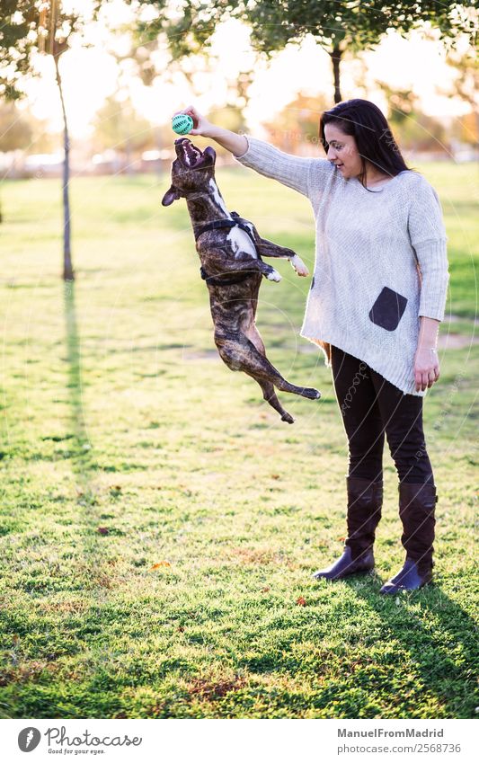 Hundespringen und Spielen mit einer jungen Frau Lifestyle Freude Glück schön Erwachsene Freundschaft Hand Natur Tier Gras Park Haustier Pfote Lächeln niedlich