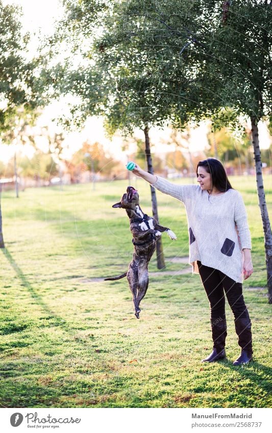 Hundespringen und Spielen mit einer jungen Frau Lifestyle Freude Glück schön Erwachsene Freundschaft Hand Natur Tier Gras Park Haustier Pfote Lächeln niedlich