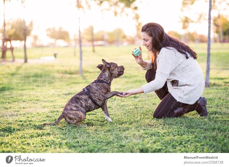 fröhliche Frau und Hund schütteln Hand und Pfote Lifestyle Glück schön Spielen Erwachsene Freundschaft Natur Tier Gras Park Haustier Lächeln niedlich grün