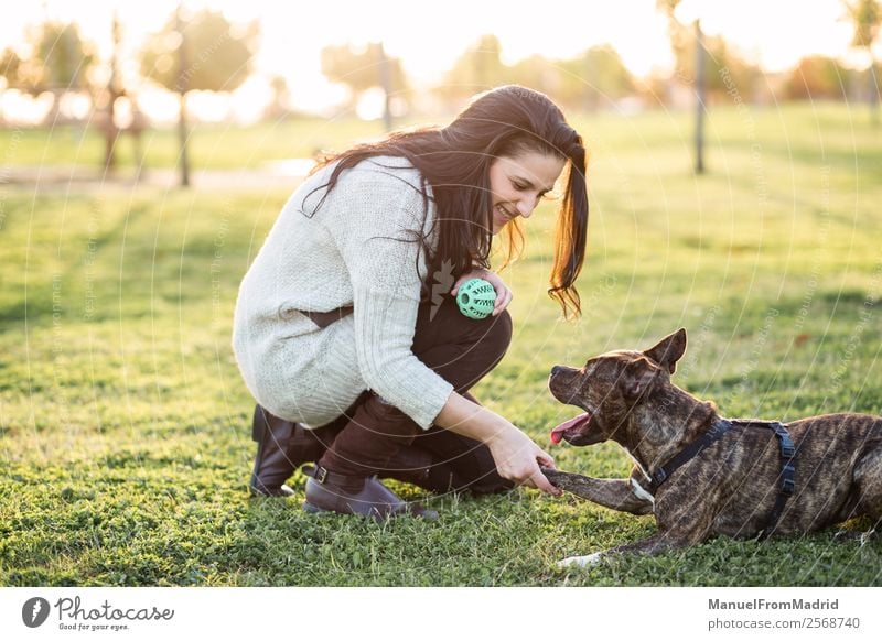 fröhliche Frau und Hund schütteln Hand und Pfote Lifestyle Glück schön Spielen Erwachsene Freundschaft Natur Tier Gras Park Haustier Lächeln niedlich grün