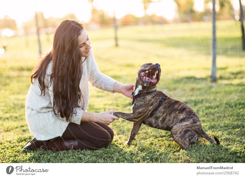 fröhliche Frau und Hund schütteln Hand und Pfote Lifestyle Glück schön Spielen Erwachsene Freundschaft Natur Tier Gras Park Haustier Lächeln niedlich grün loyal