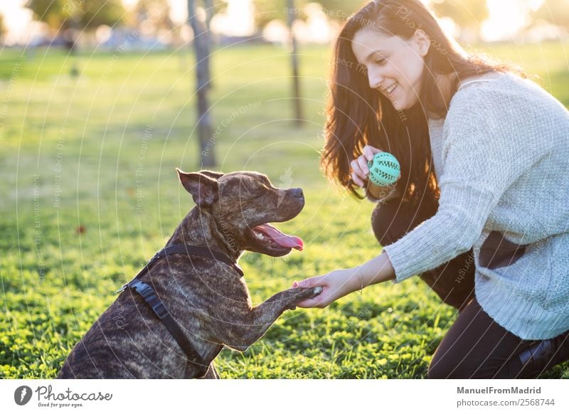 fröhliche Frau und Hund schütteln Hand und Pfote Lifestyle Glück schön Spielen Erwachsene Freundschaft Natur Tier Gras Park Haustier Lächeln niedlich grün