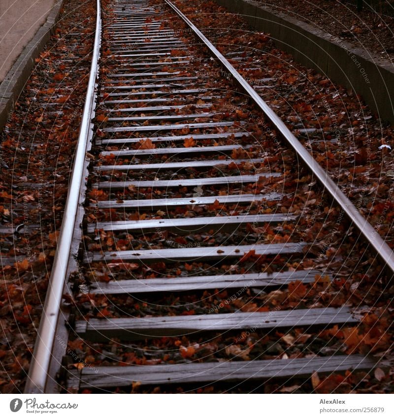 auf die schiefe Bahn Wirtschaft Güterverkehr & Logistik Landschaft Blatt Verkehr Verkehrsmittel Verkehrswege Schienenverkehr Eisenbahn Bahnsteig gebrauchen