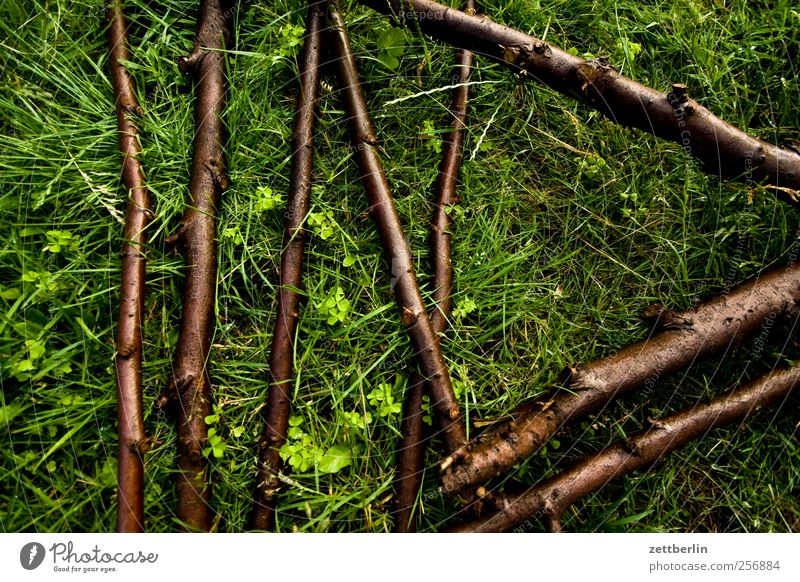 Das Haus vom Nikolaus (Fragment) Erholung Freizeit & Hobby Spielen Garten Umwelt Natur Pflanze Sommer Baum Blume Gras Blatt Park Wiese Holz Wachstum gut grün