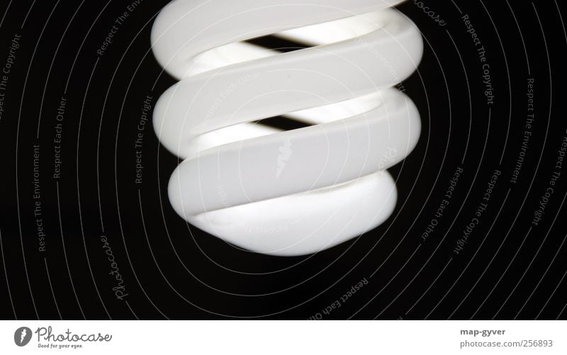 glow Energiesparbirne Glühbirne Energiesparlampe Design elegant kalt Klima rein Symmetrie Umwelt Umweltschutz Zukunft Licht Schwarzweißfoto Gedeckte Farben