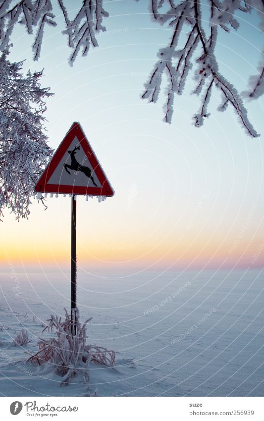 Reebok Umwelt Natur Landschaft Urelemente Himmel Wolkenloser Himmel Horizont Winter Klima Schönes Wetter Eis Frost Schnee Verkehr Verkehrswege Verkehrszeichen