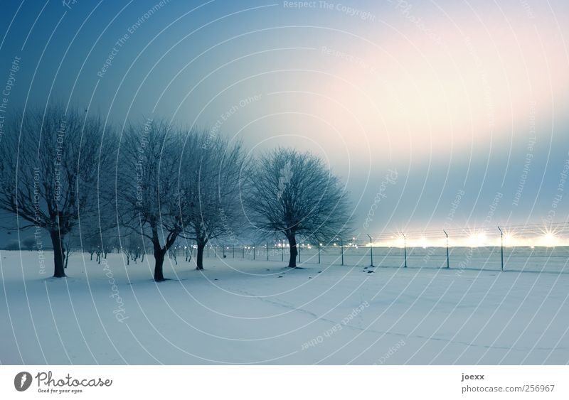 Wir müssen leider draußen bleiben Landschaft Himmel Nachthimmel Horizont Winter Schnee Baum Park Dorf Stadtrand Skyline Menschenleer kalt blau rosa schwarz weiß