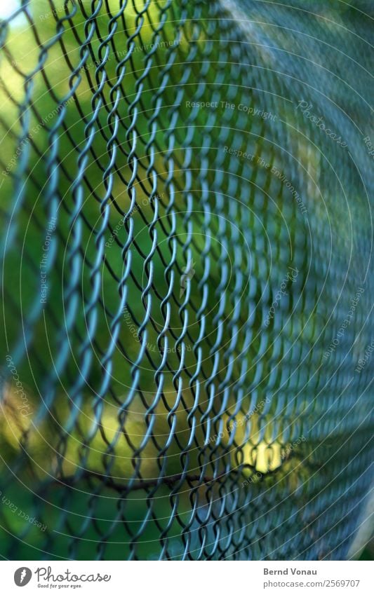 Immer dieselbe Masche Sport Sportstätten Fußballplatz kalt Maschendrahtzaun Zaun Barriere Muster Schutz grün Baum Metall Wärme Biegung Draht Farbfoto