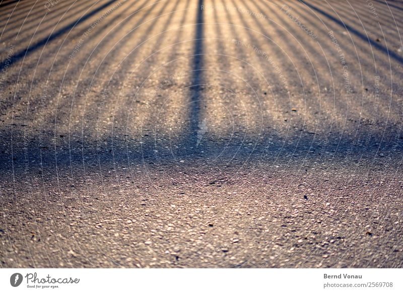 Abendlicher Schatten auf Asphalt Stadt Stadtrand Verkehrswege Straße Wärme Muster Tor Zaun grau geschlossen Boden unten langeschatten Farbfoto Außenaufnahme