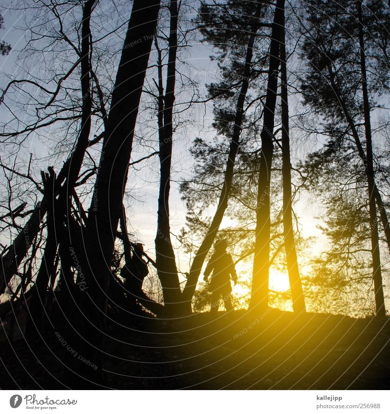 entdecker Mensch Geschwister Bruder Schwester Freundschaft Kindheit Leben Körper 2 Umwelt Natur Landschaft Pflanze Tier Himmel Winter Baum Wald Spielen Hütte