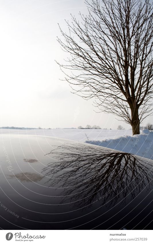 black mirror Freizeit & Hobby Kunst Umwelt Natur Landschaft Winter Klima Schönes Wetter Eis Frost Schnee Baum Fahrzeug Zeichen dunkel Originalität trashig