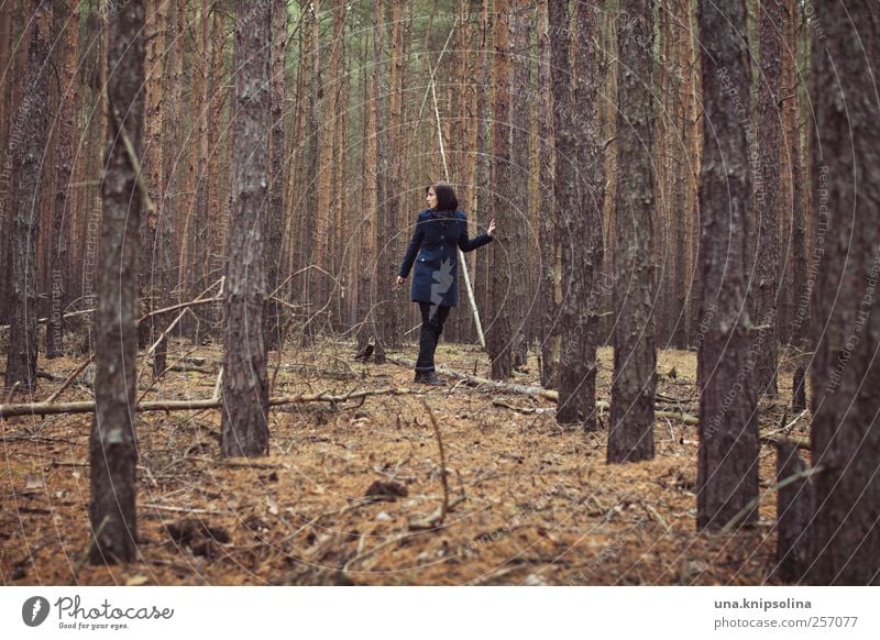 unter bäumen aus papier feminin Junge Frau Jugendliche Erwachsene 1 Mensch 18-30 Jahre Umwelt Natur Landschaft Herbst Winter schlechtes Wetter Baum Wald