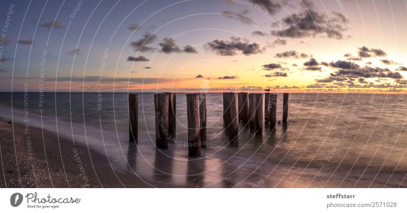 Verfallene Ruinen eines Piers am Port Royal Beach bei Sonnenuntergang Strand Meer Wellen Landschaft Wolken Küste blau gelb Port Royal Strand Abenddämmerung