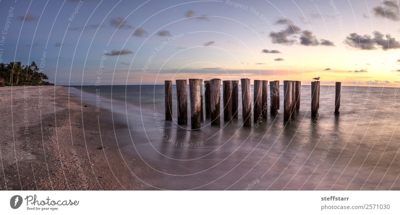 Verfallene Ruinen eines Piers am Port Royal Beach bei Sonnenuntergang Strand Meer Wellen Landschaft Wolken Küste blau gelb Port Royal Strand Abenddämmerung