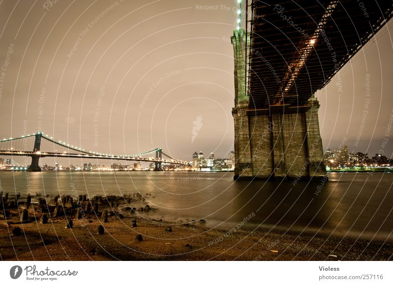 Dawns Bridge Brücke Bauwerk Architektur Sehenswürdigkeit ästhetisch authentisch außergewöhnlich Bekanntheit historisch New York State New York City Brooklyn