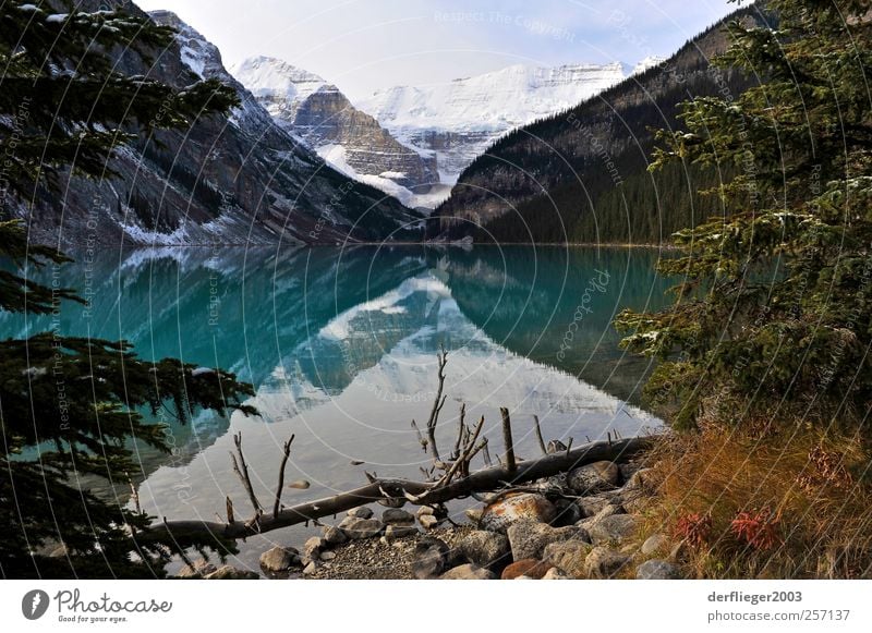 Lake Louise, Alberta, Kanada Landschaft Wasser Erde Wolken Herbst Schönes Wetter Baum Berge u. Gebirge Seeufer Wahrzeichen Ferien & Urlaub & Reisen Farbfoto