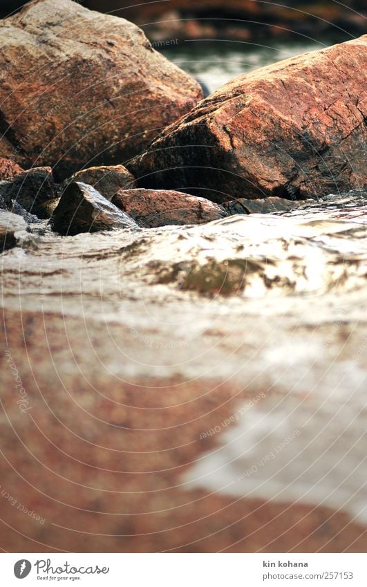 brandung Natur Urelemente Wasser Sommer Herbst Küste Seeufer Strand Bucht Stein hören braun gelb gold grau Einsamkeit Idylle Vergänglichkeit Brandung Wellen