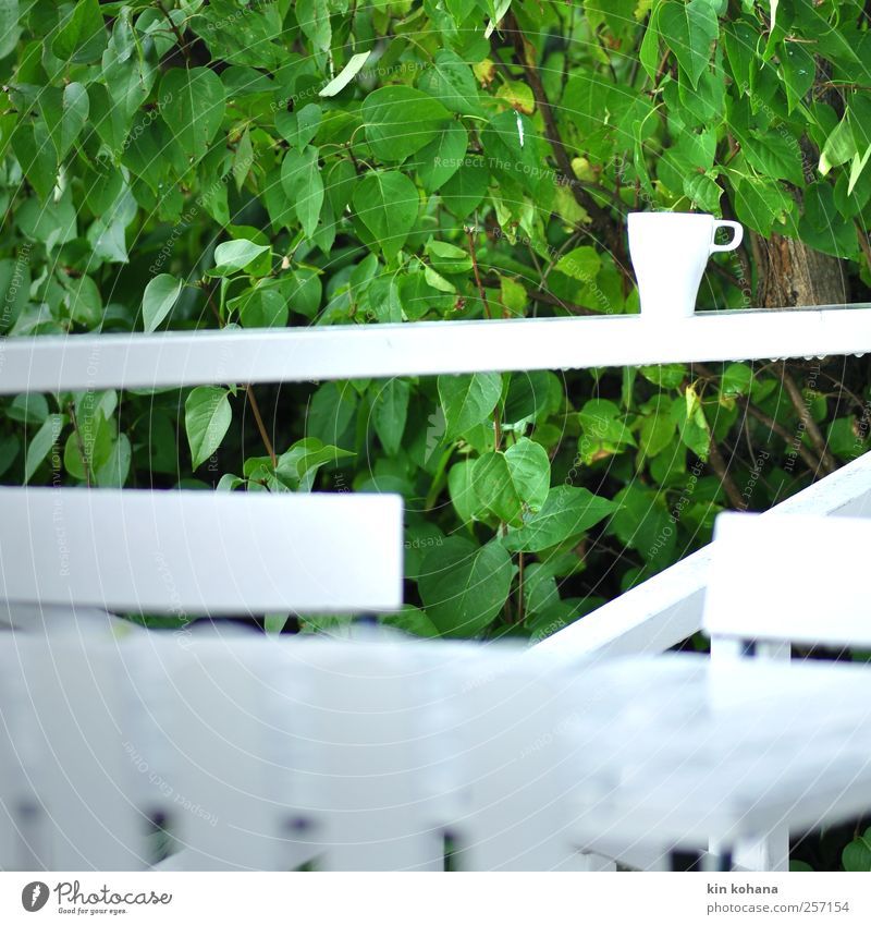 pause. Ernährung Frühstück Getränk Heißgetränk Kaffee Tasse harmonisch Erholung ruhig Garten Terrasse Pflanze Baum Sträucher Grünpflanze Park grün weiß Pause