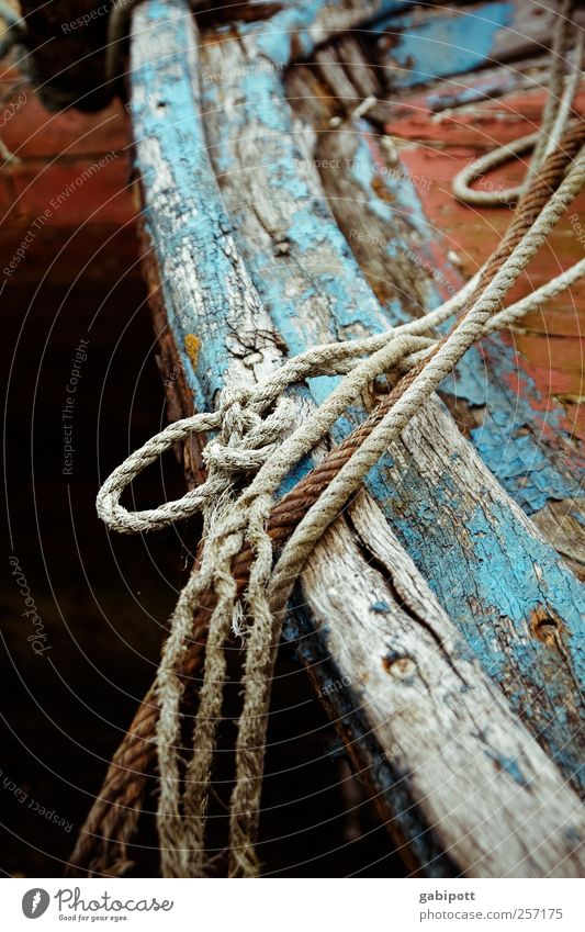 und immer sind da die Spuren deines Lebens, Wasserfahrzeug Seil Knoten Holz alt kaputt trashig blau braun Trauer Tod Müdigkeit Heimweh Einsamkeit Erschöpfung