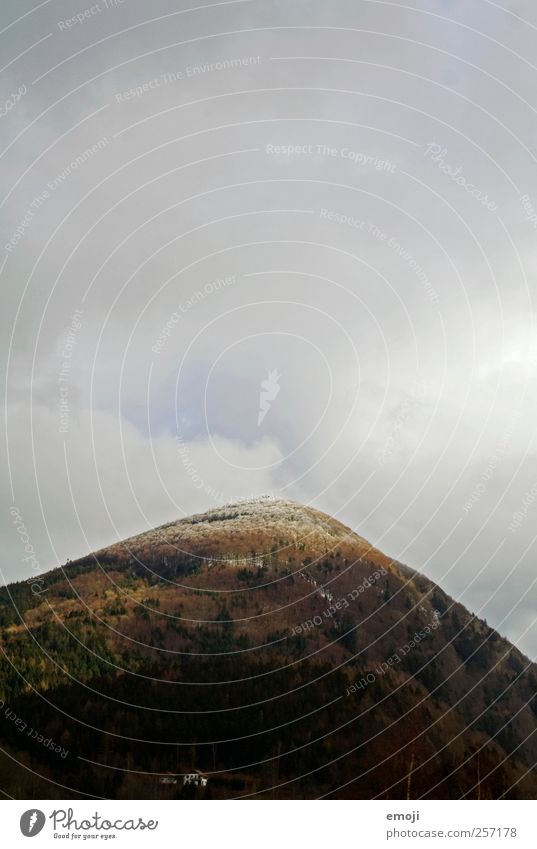 Zuckerhut Umwelt Natur Himmel Wolken Herbst Klima Klimawandel schlechtes Wetter Schneefall Wald Hügel Berge u. Gebirge Gipfel Schneebedeckte Gipfel bedrohlich