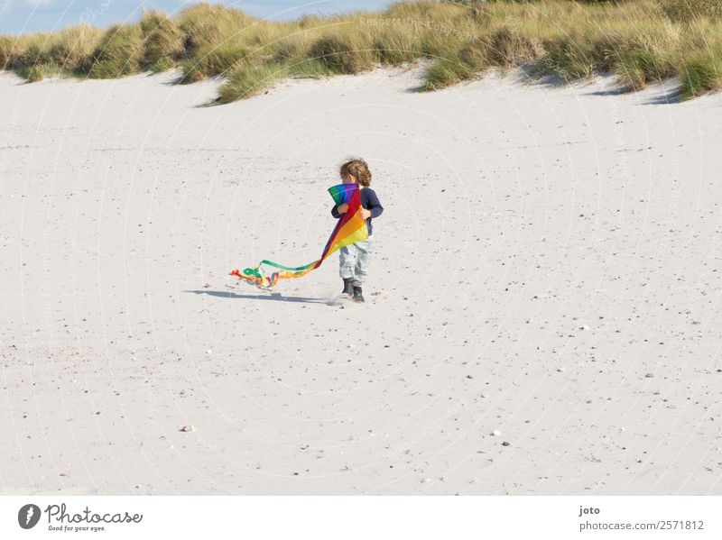 Drachenausflug Freizeit & Hobby Spielen Ferien & Urlaub & Reisen Ausflug Sommerurlaub Kind 1 Mensch 1-3 Jahre Kleinkind Wind Strand Stranddüne frei