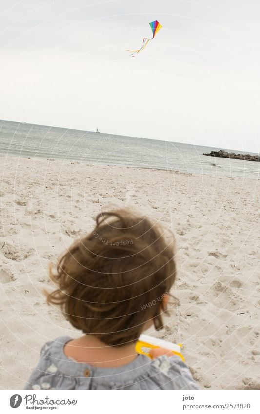 Drachenfliegen Freizeit & Hobby Spielen Kinderspiel Ferien & Urlaub & Reisen Ausflug Freiheit 1 Mensch 1-3 Jahre Kleinkind Wind Strand Ostsee Kraft Bewegung