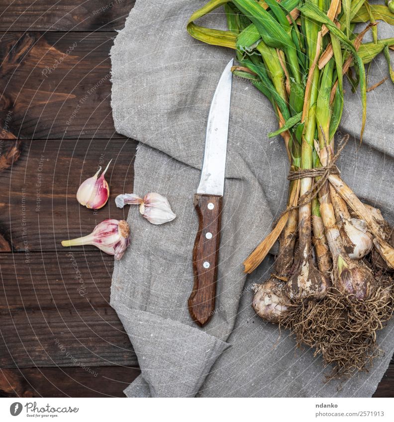 Bund junger Knoblauch Gemüse Kräuter & Gewürze Ernährung Essen Vegetarische Ernährung Natur Pflanze Blatt frisch groß natürlich grün weiß Gesundheit Ernte