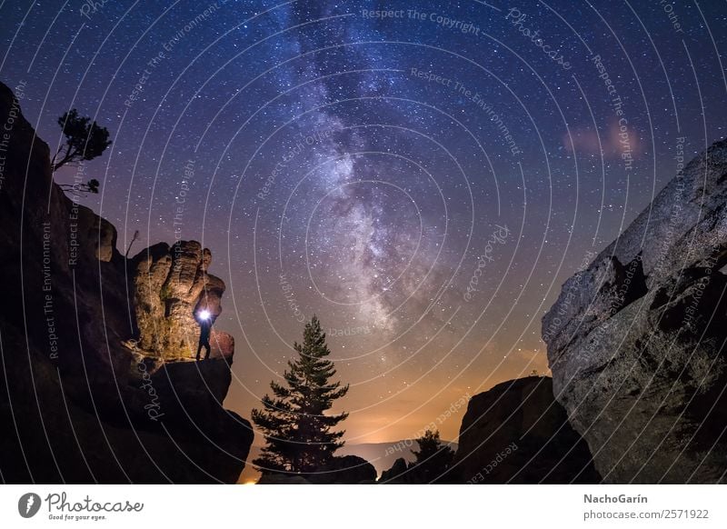 Beleuchtet von der Milchstraße Umwelt Natur Landschaft Erde Himmel nur Himmel Nachthimmel Stern Horizont Baum Felsen leuchten blau orange Milchstrasse Weltall