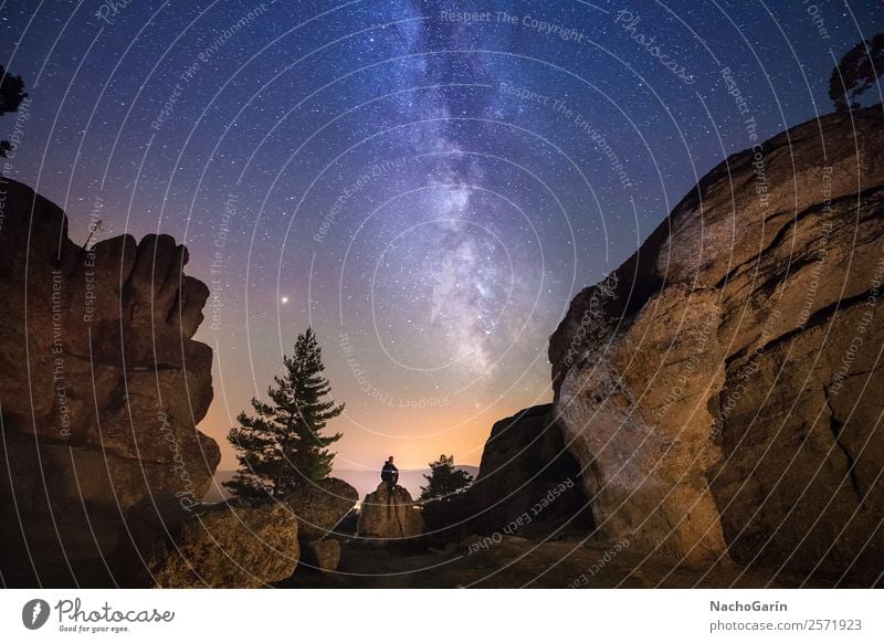 Beleuchtet von der Milchstraße Umwelt Natur Landschaft Erde Himmel nur Himmel Nachthimmel Stern Horizont Baum Felsen leuchten Milchstrasse Weltall Astronomie