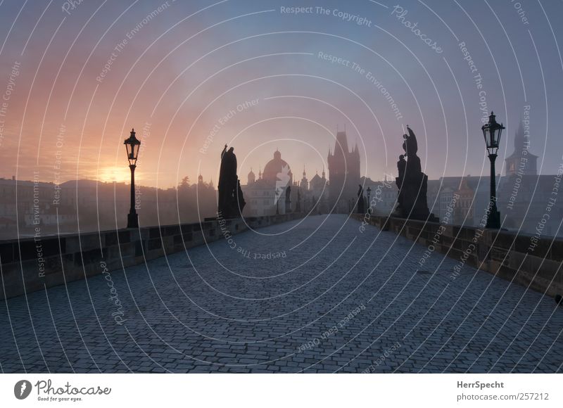 Just bevor Sunrise Prag Tschechien Hauptstadt Altstadt Brücke Sehenswürdigkeit Wahrzeichen Denkmal Karlsbrücke blau grau Nebel Morgennebel mystisch