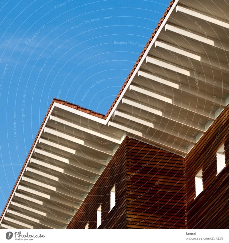 Holzhaus Wolkenloser Himmel Sonne Sonnenlicht Herbst Schönes Wetter Einfamilienhaus Bauwerk Gebäude Architektur Fassade Fenster Dach Holzbrett Sauberkeit blau