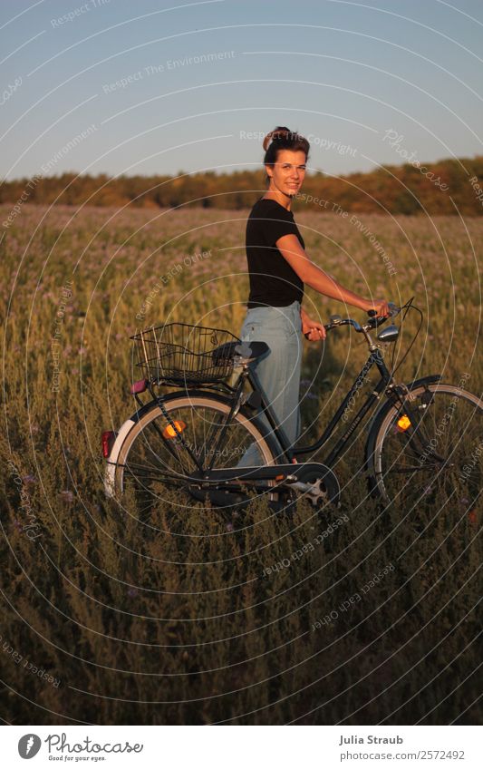 Feld Fahrrad Frau Sonnenlicht Fahrradfahren feminin Erwachsene 1 Mensch 30-45 Jahre Natur Himmel Sommer Schönes Wetter Blume Gras Wald T-Shirt Jeanshose brünett