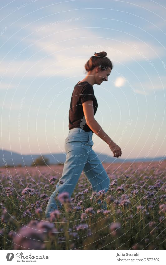 Frau Laufen Blumenfeld feminin Erwachsene 1 Mensch 30-45 Jahre Natur Himmel Sonnenaufgang Sonnenuntergang Sommer Gras phazelien Feld T-Shirt Jeanshose brünett