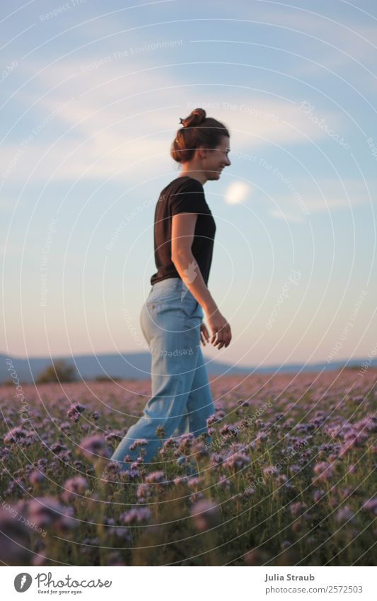 Blumenwiese Frau schön Himmel Wolken Sonnenaufgang Sonnenuntergang Sommer Schönes Wetter Pflanze Gras Wiese Feld T-Shirt Jeanshose brünett langhaarig Zopf