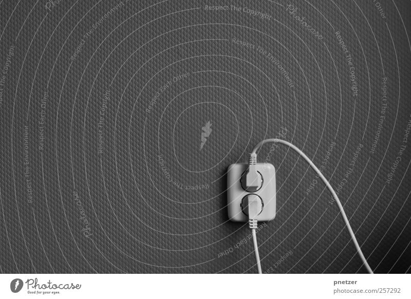 Unter Strom Kabel Technik & Technologie Energiewirtschaft Elektrizität Steckdose Stecker Konsum Schwarzweißfoto Innenaufnahme Studioaufnahme Nahaufnahme