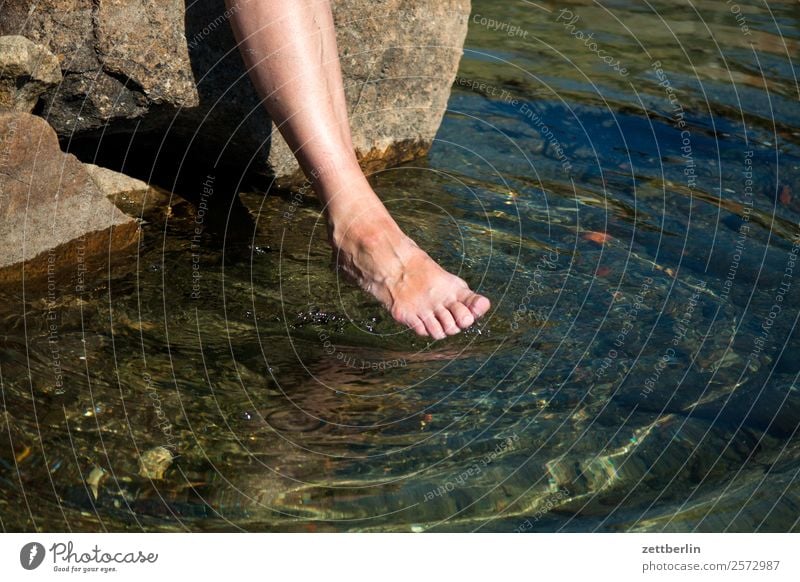 Fuß, kurz davor Schwimmen & Baden Badestelle tauchen Erfrischung Felsen Ferien & Urlaub & Reisen Gefühle berühren Wärme kalt Klarheit Lofoten maritim Meer Natur