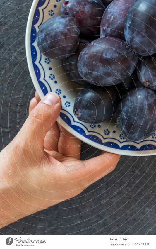 eine Portion Zwetschgen Frucht Bioprodukte Vegetarische Ernährung Teller Schalen & Schüsseln Gesunde Ernährung Küche Mann Erwachsene Hand Finger wählen