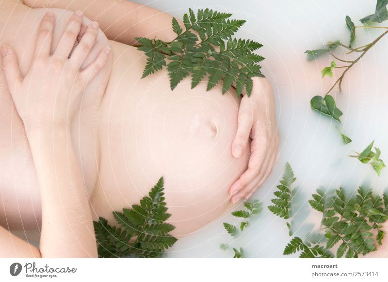 Milchbadshooting schwanger schwangerschaftsshooting Efeu Blatt grün Frau feminin pregnant Babybauch babybauchshooting Bauch Schwimmen & Baden Badewanne milchbad