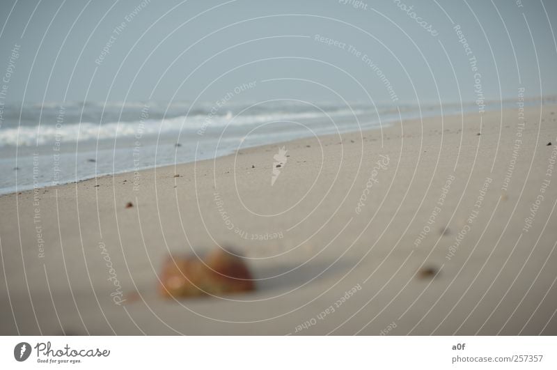 mare Natur Wasser Himmel Horizont Herbst Wetter Wind Wellen Küste Strand Nordsee Meer Sand alt blau braun gelb Erholung Umwelt Ferien & Urlaub & Reisen Farbfoto