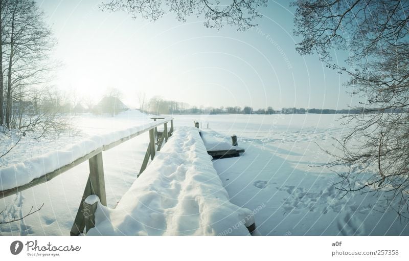 Der Steg Natur Landschaft Himmel Wolkenloser Himmel Horizont Sonne Winter Schönes Wetter Baum Seeufer Dorf Haus Wege & Pfade blau Ferien & Urlaub & Reisen Hotel