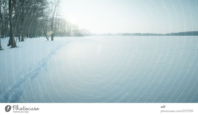 Spuren im Schnee Umwelt Sonne Sonnenlicht Winter Wetter Schönes Wetter Seeufer kalt natürlich blau Farbfoto Gedeckte Farben Außenaufnahme Menschenleer