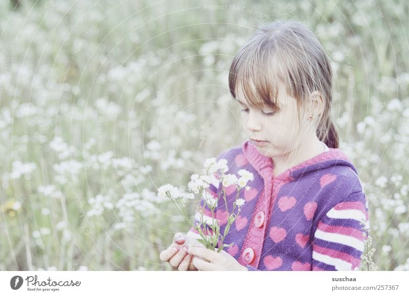 sommerbild .. im winterkleid Kind Mädchen Kindheit Kopf Haare & Frisuren Gesicht Auge Nase Mund Finger 3-8 Jahre Umwelt Natur Frühling Sommer Klima Gras Wiese